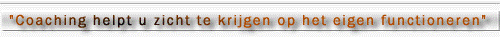 Coaching helpt u zicht te krijgen op het eigen functioneren